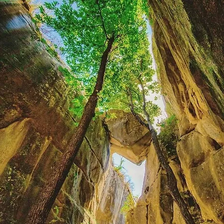 Dans Joli Village D'annot Apartment